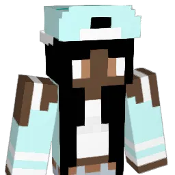 ldolphin240 Minecraft avatar bust