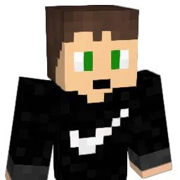 le_h78 Minecraft avatar bust