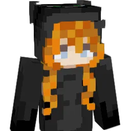 learnS2 Minecraft avatar bust