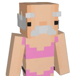 ledini21 Minecraft avatar bust