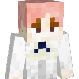 lee123322 Minecraft avatar bust