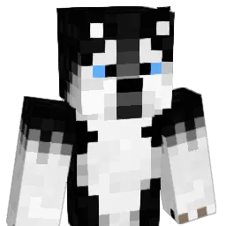 leedu0502 Minecraft avatar bust