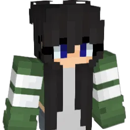 leefy28 Minecraft avatar bust