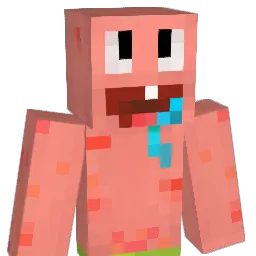 leejae22 Minecraft avatar bust