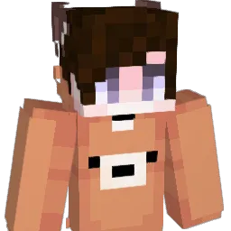 lees2541 Minecraft avatar bust
