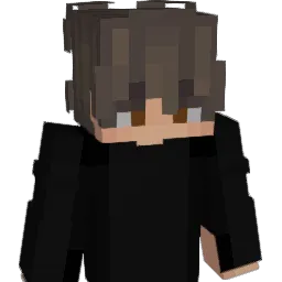 leesin10
