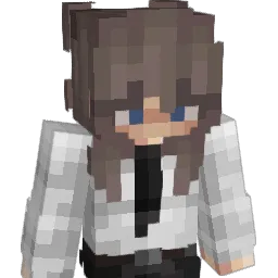 leez1337mc Minecraft avatar bust