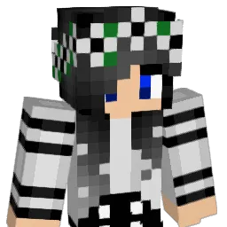 legitninja209 Minecraft avatar bust