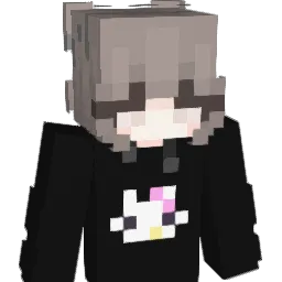leiaskywalker09 Minecraft avatar bust