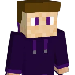 leihtos Minecraft avatar bust