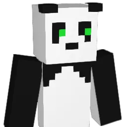 leijoon's Minecraft skin