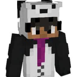 leikeze26 Minecraft avatar bust