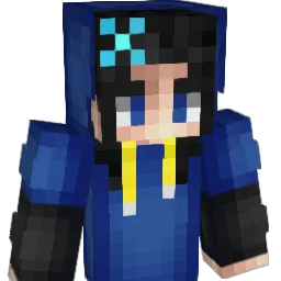 lengleng11905 Minecraft avatar bust