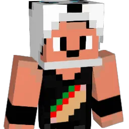 leo8bits's Minecraft skin