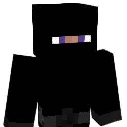 leobo73 Minecraft avatar bust