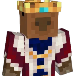 leoferr07's Minecraft skin