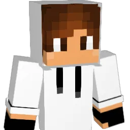 leonis2006 Minecraft avatar bust