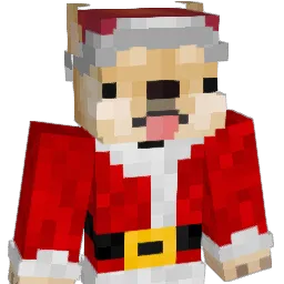 leopvp11 Minecraft avatar bust