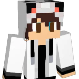 lepolonais66 Minecraft avatar bust