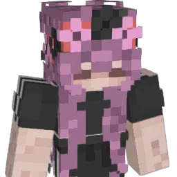 leraer540's Minecraft skin
