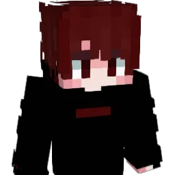 leumas55 Minecraft avatar bust