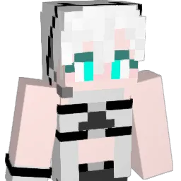 levee11511 Minecraft avatar bust