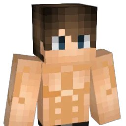 lewisl2016 Minecraft avatar bust