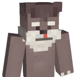 lhm0204 Minecraft avatar bust
