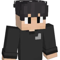 li88888 Minecraft avatar bust