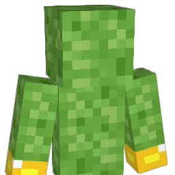 liampm11 Minecraft avatar bust