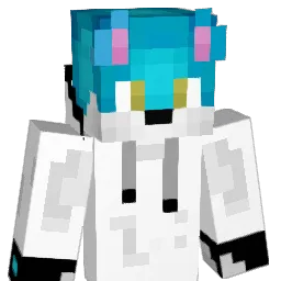 lichu246 Minecraft avatar bust