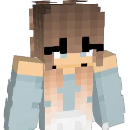 lidric300 Minecraft avatar bust