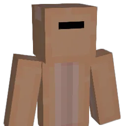 life_gamer Minecraft avatar bust