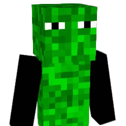 lihaiyang8555 Minecraft avatar bust