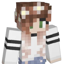 lilTE4CH Minecraft avatar bust