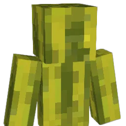 lil_Burrage Minecraft avatar bust
