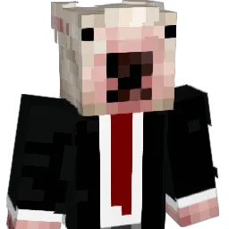 lil__KAMN1 Minecraft avatar bust