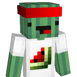 lil_fryser Minecraft avatar bust