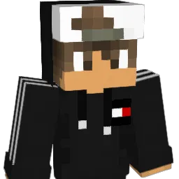 lil_qui Minecraft avatar bust