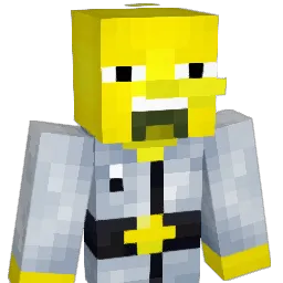 lil_won Minecraft avatar bust