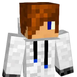 lild95 Minecraft avatar bust