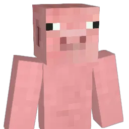 lildesh13's Minecraft skin