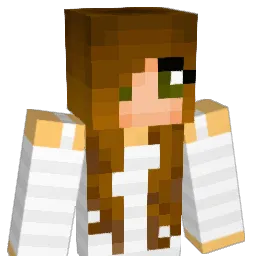 lili117 Minecraft avatar bust