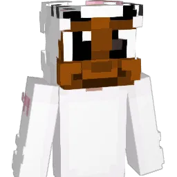 lilprins Minecraft avatar bust
