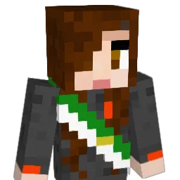 lils30 Minecraft avatar bust