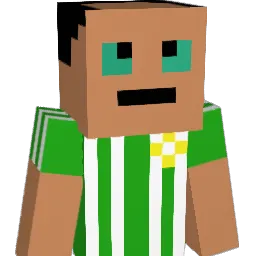 limpandinho66 Minecraft avatar bust