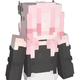 lina_21 Minecraft avatar bust