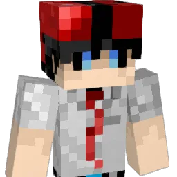 lincenxco Minecraft avatar bust