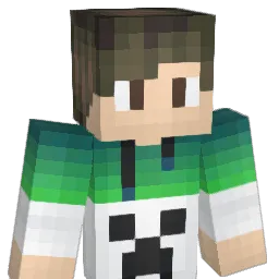 linchizz's Minecraft skin