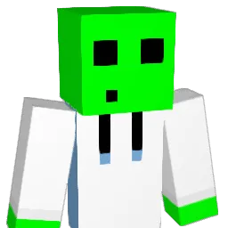 link54321 Minecraft avatar bust